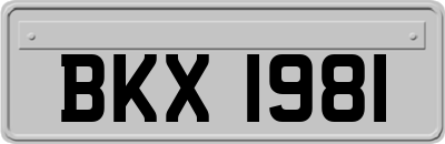 BKX1981