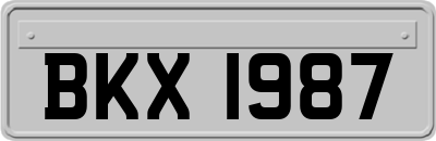 BKX1987