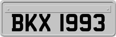 BKX1993