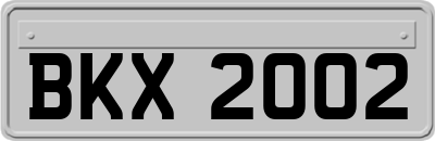 BKX2002