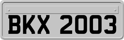 BKX2003
