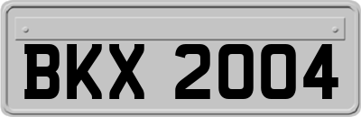 BKX2004
