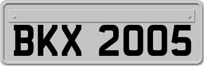 BKX2005