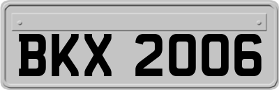 BKX2006