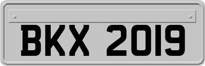 BKX2019