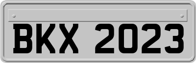 BKX2023