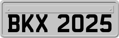 BKX2025
