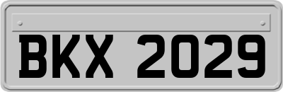 BKX2029