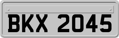 BKX2045