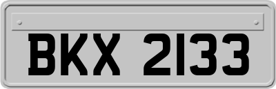 BKX2133