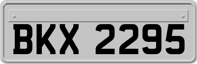 BKX2295