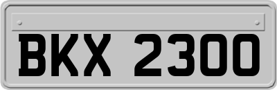 BKX2300