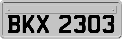 BKX2303