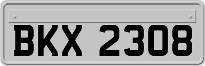 BKX2308