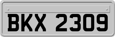 BKX2309