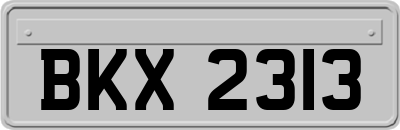 BKX2313