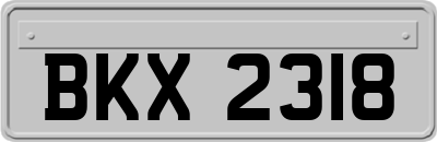 BKX2318