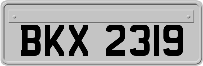 BKX2319