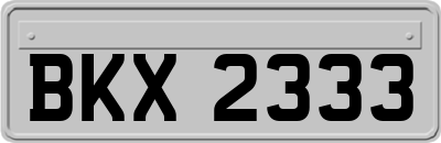 BKX2333
