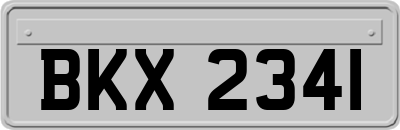 BKX2341