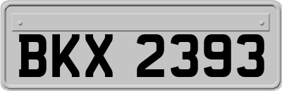 BKX2393