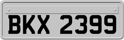 BKX2399