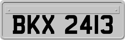 BKX2413