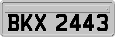 BKX2443