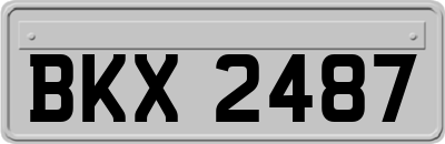 BKX2487