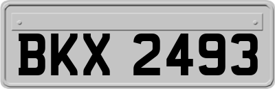 BKX2493