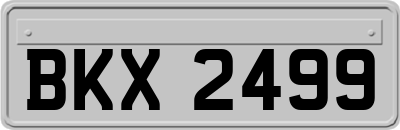BKX2499