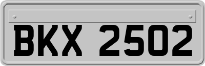 BKX2502