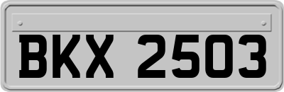 BKX2503