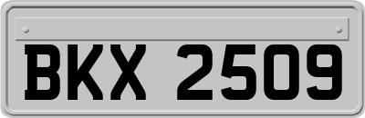 BKX2509