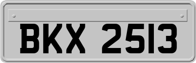 BKX2513