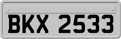 BKX2533