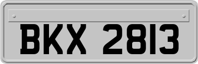 BKX2813