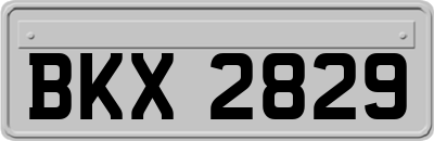 BKX2829