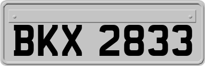 BKX2833