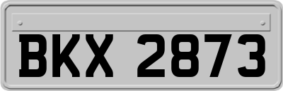 BKX2873