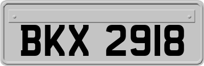 BKX2918