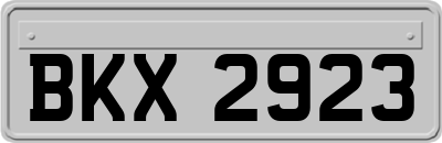 BKX2923