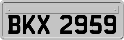 BKX2959