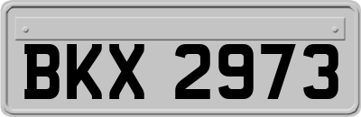 BKX2973