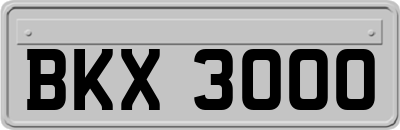 BKX3000