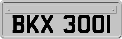 BKX3001