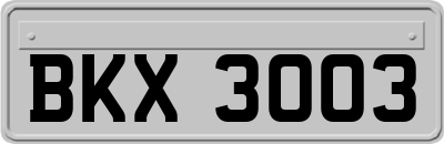 BKX3003