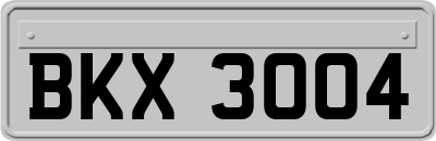 BKX3004