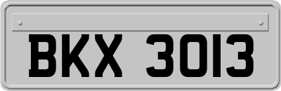 BKX3013