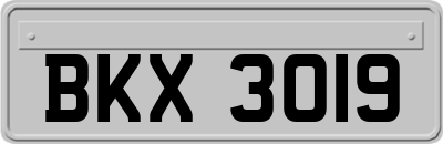 BKX3019
